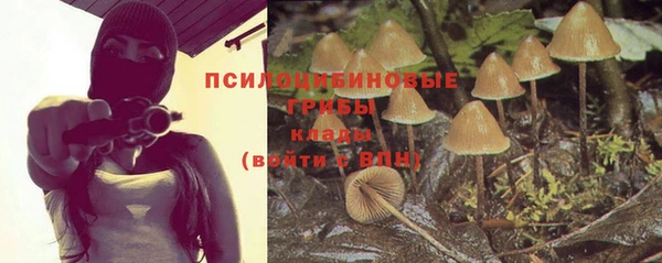 бутират Армянск